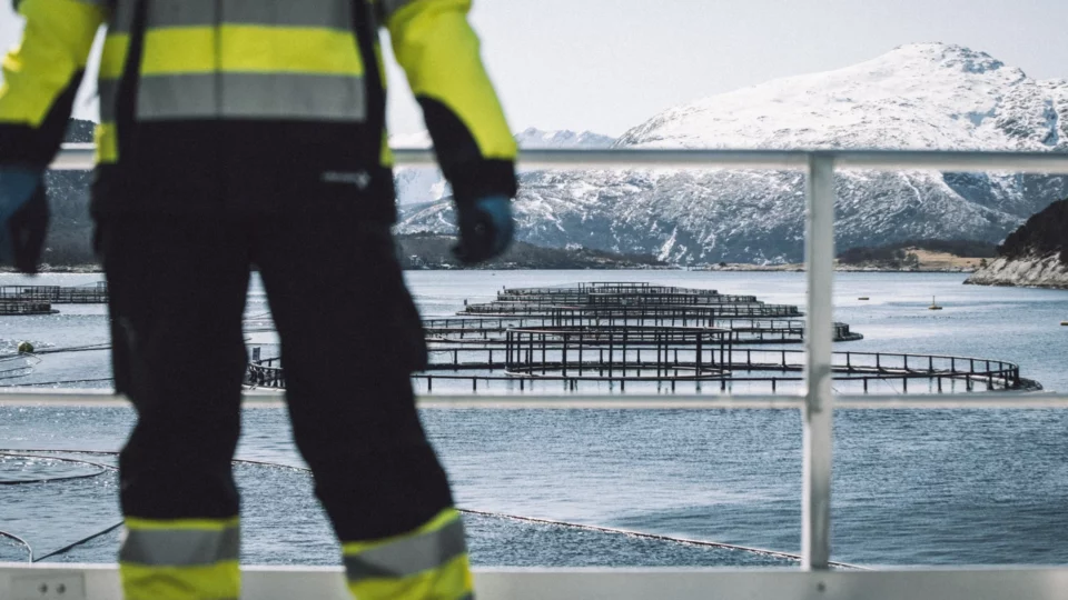 Person in high-vis gear overlooking sea pens with snowy mountains in the background
