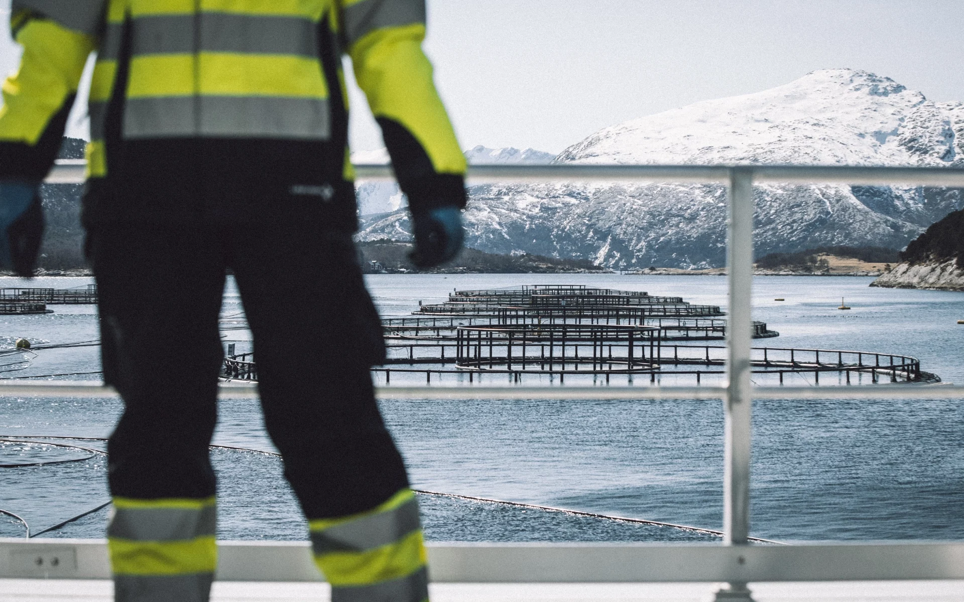 Person in high-vis gear overlooking sea pens with snowy mountains in the background